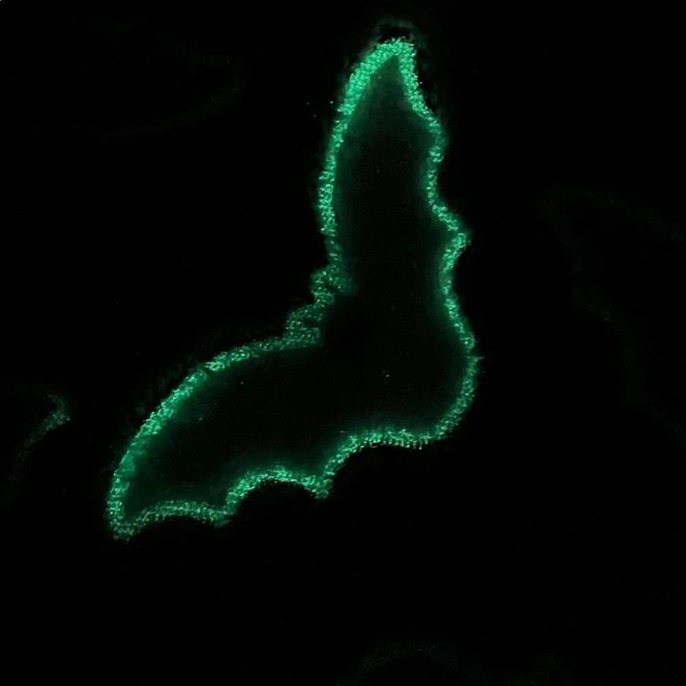 Glow in the Dark bat blanket *FIRM PRICE*